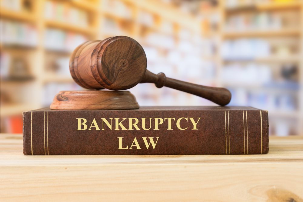 3 Types Of Bankruptcies In The US And Which One To Choose - 2024 Guide ...