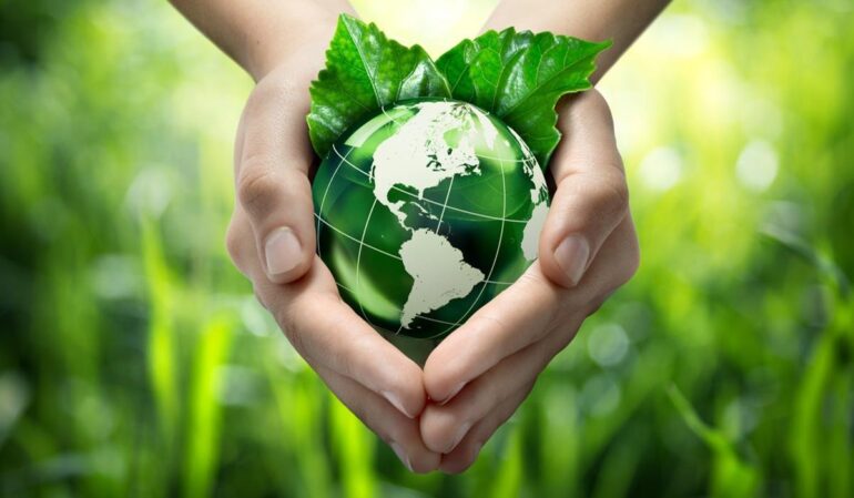 Sustainability and Eco-Friendliness