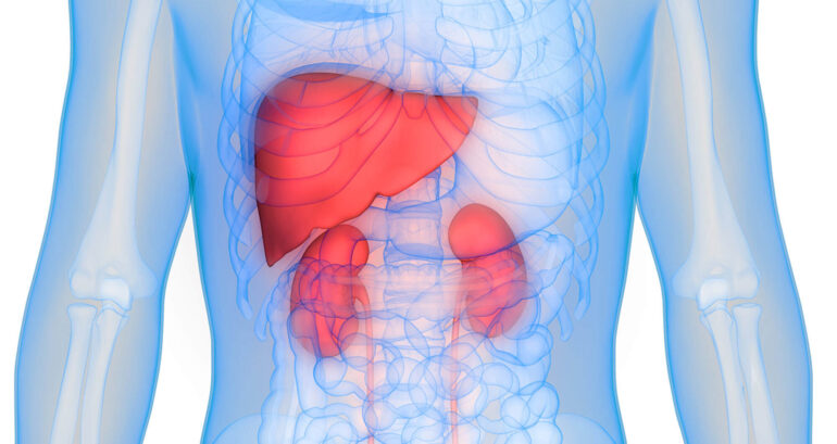 Liver and Kidney Damage associated to aqueous film forming foam