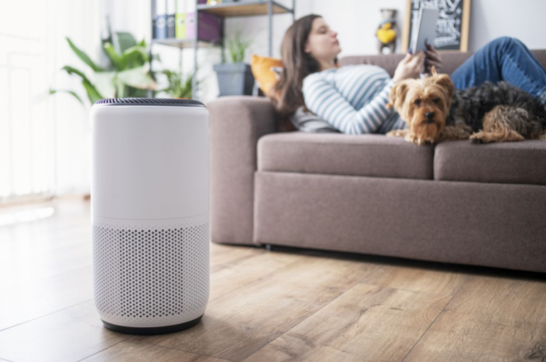 Air Purifiers for Dogs