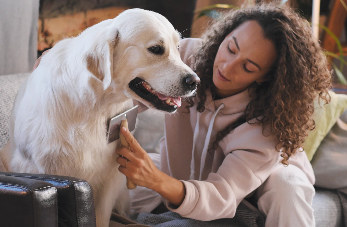 Do Air Purifiers for Dogs Really Work? Unveiling the Truth Richannel