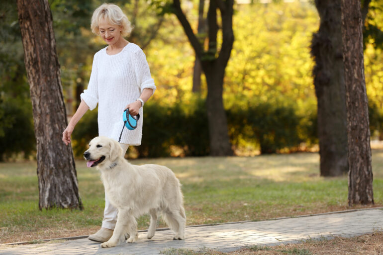 Elderly person walking a dog