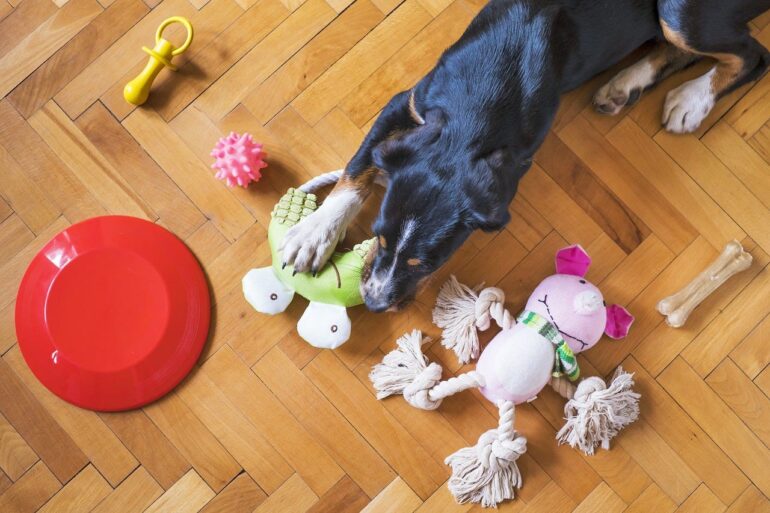 Importance of Dog Toys