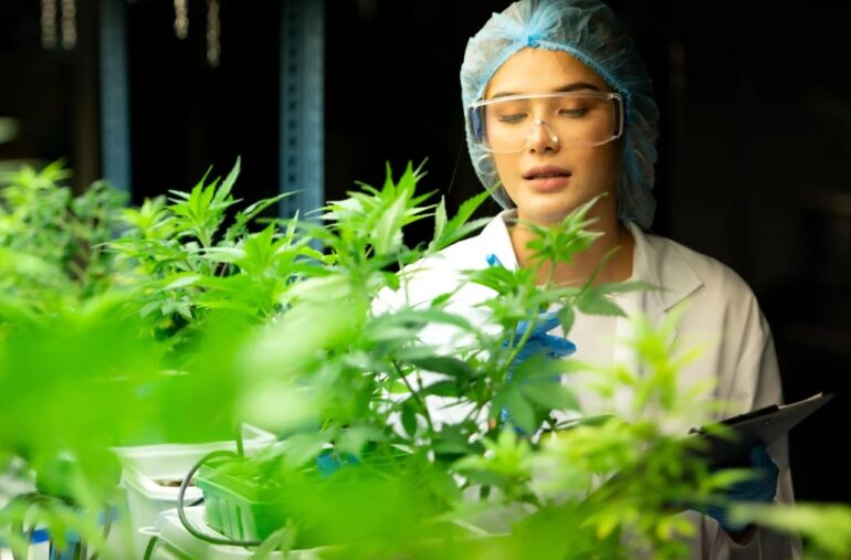 Nutrient Management Cannabis