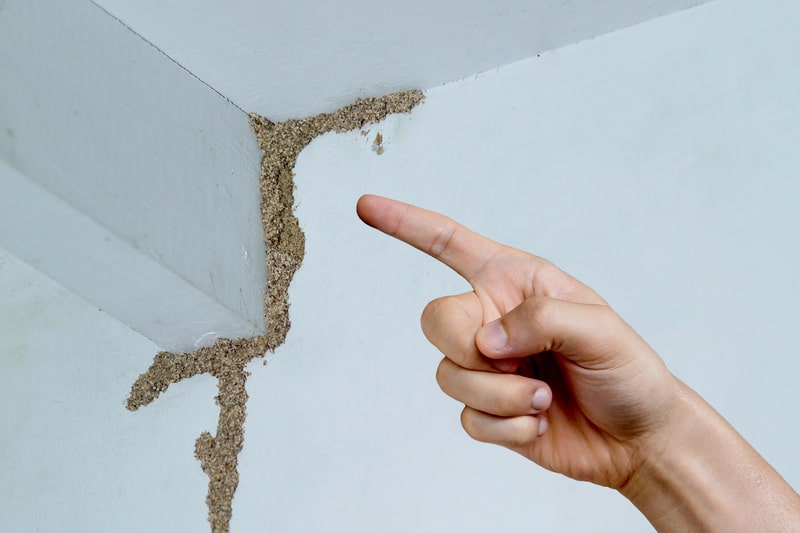 Crucial Early Signs Of Termite Infestation: Detect And Protect Your ...