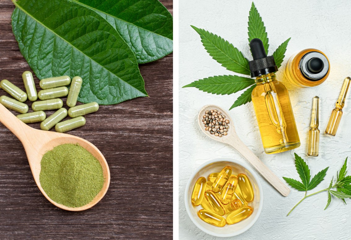 Mindful Choices Kratom and CBD Explained Contrasts in Benefits and